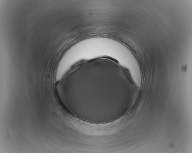 X0000096170035200802011329