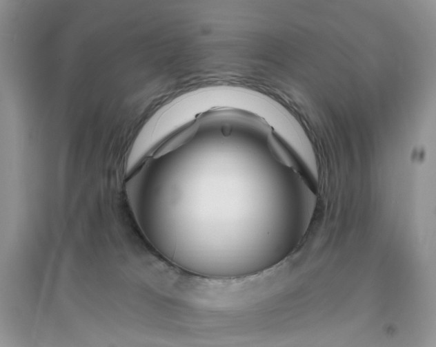 X0000096170037200802011329