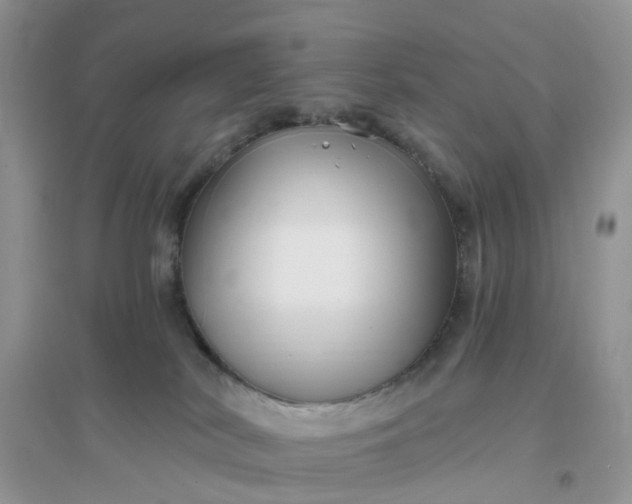 X0000096170038200802011329