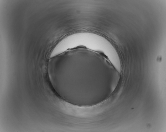 X0000096170039200802011329