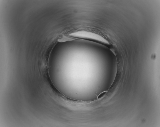 X0000096170040200802011329