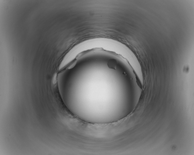 X0000096170041200802011329