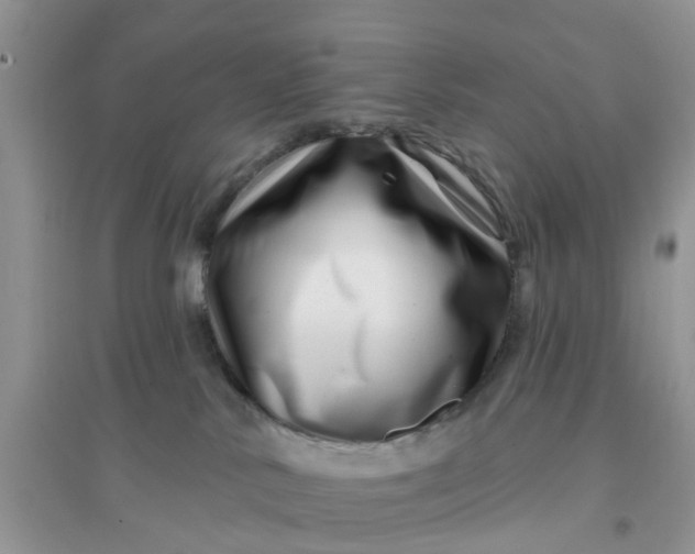 X0000096170042200802011329