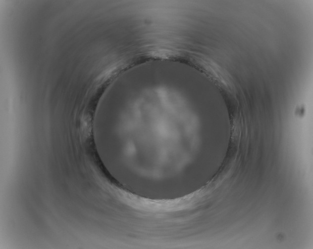 X0000096170043200802011329