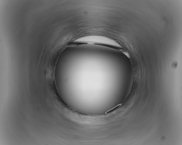 X0000096170044200802011329