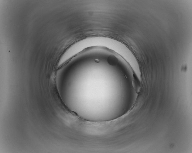 X0000096170045200802011329