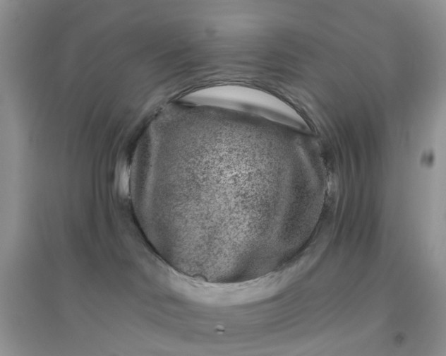 X0000096170046200802011329