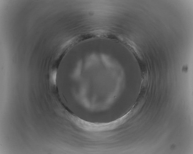 X0000096170047200802011329