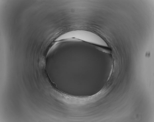 X0000096170048200802011329