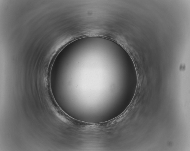 X0000096170050200802011328