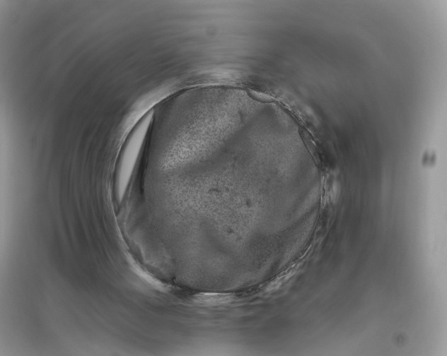 X0000096170051200802011328