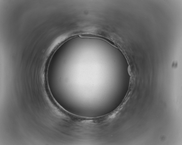 X0000096170054200802011328