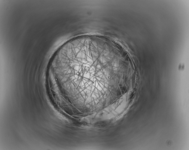 X0000096170055200802011328