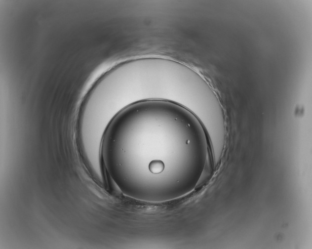 X0000096170056200802011328