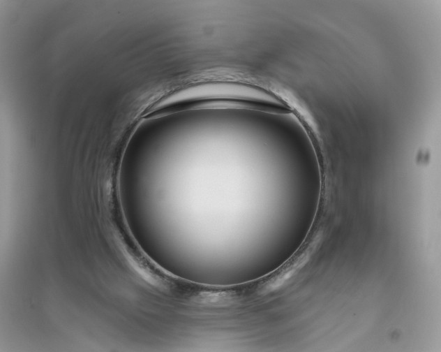 X0000096170057200802011328