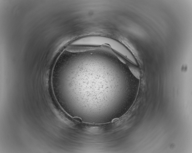 X0000096170058200802011328