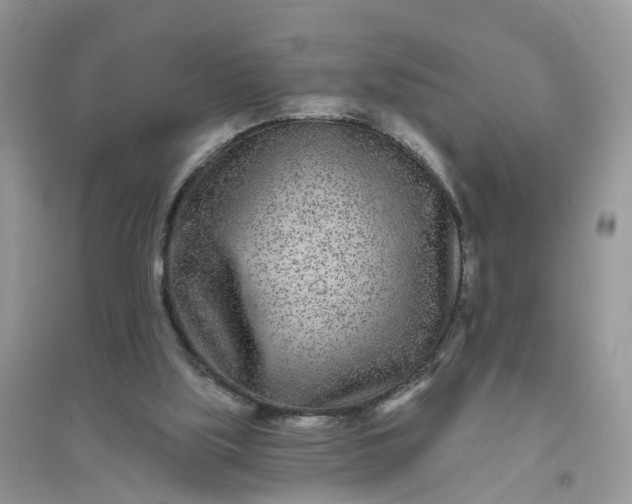 X0000096170059200802011328