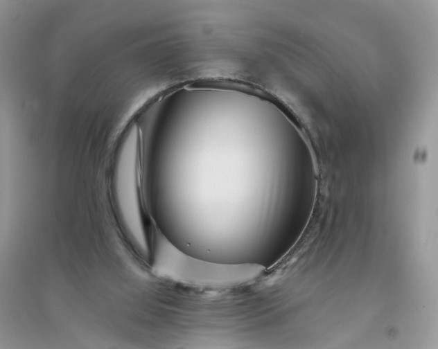 X0000096170060200802011328