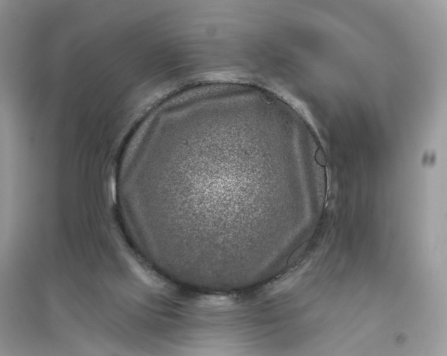 X0000096170061200802011328