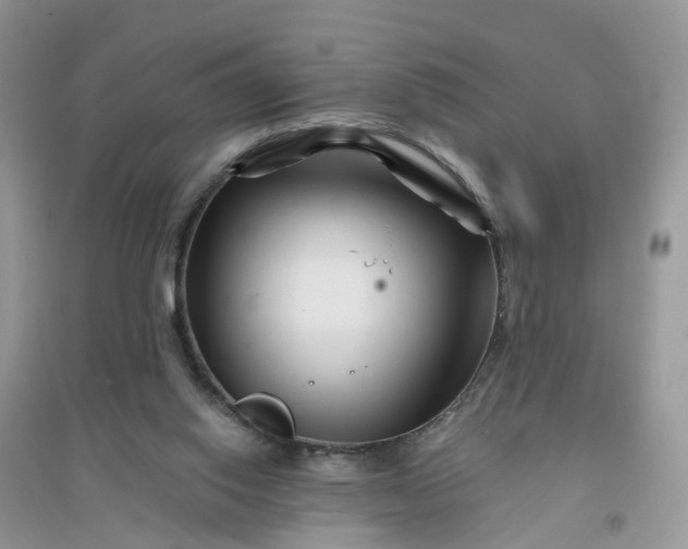 X0000096170062200802011328