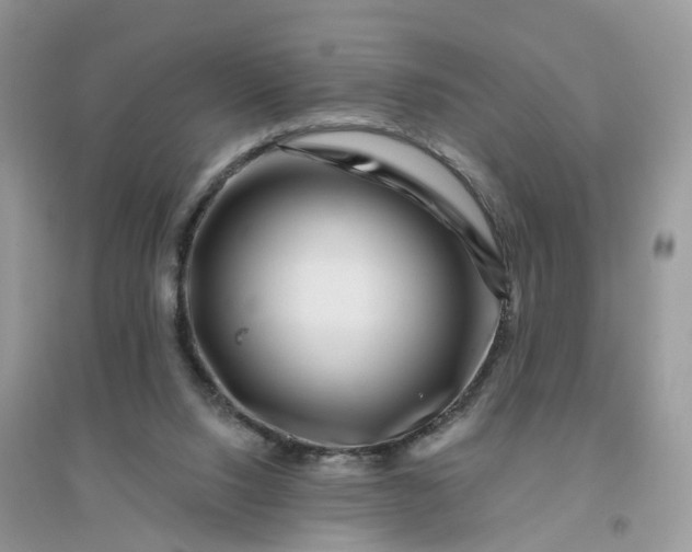 X0000096170064200802011328