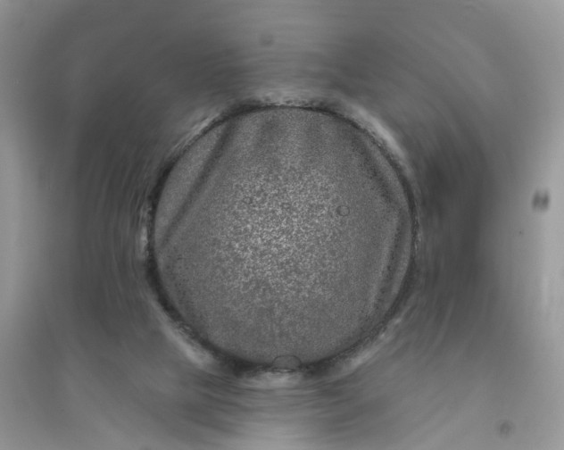 X0000096170065200802011328