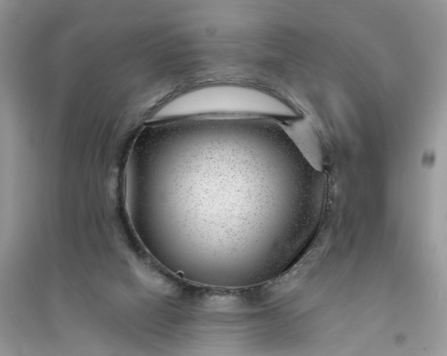 X0000096170066200802011328