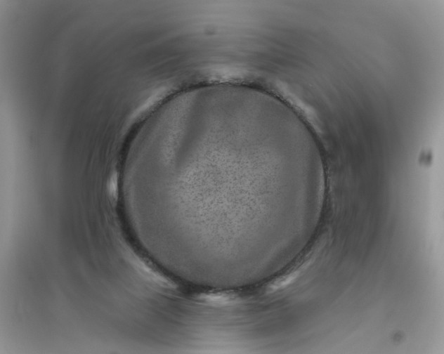 X0000096170067200802011328