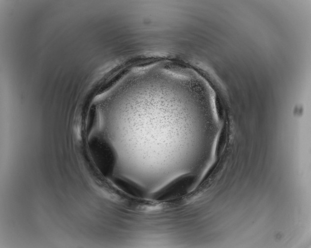 X0000096170068200802011328