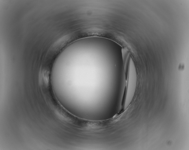 X0000096170070200802011328