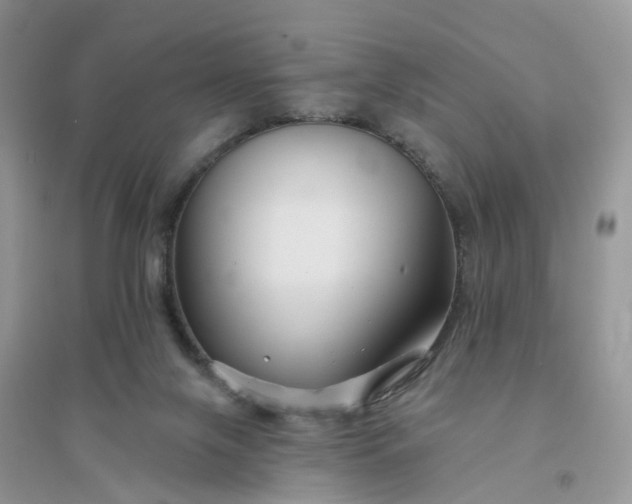 X0000096170071200802011328