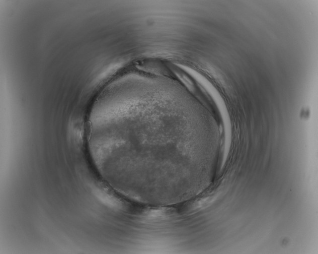 X0000096170072200802011328