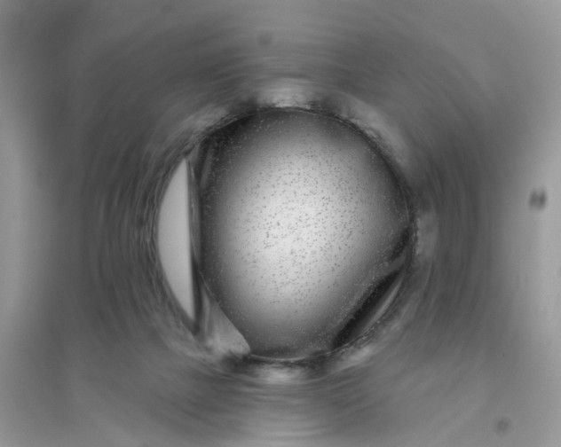 X0000096170073200802011328