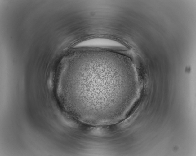 X0000096170074200802011328