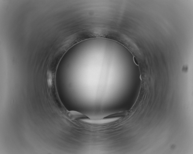 X0000096170075200802011328