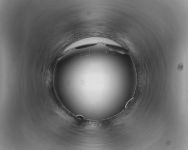 X0000096170077200802011329