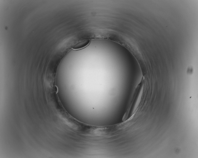 X0000096170078200802011329