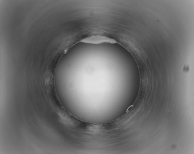 X0000096170079200802011329