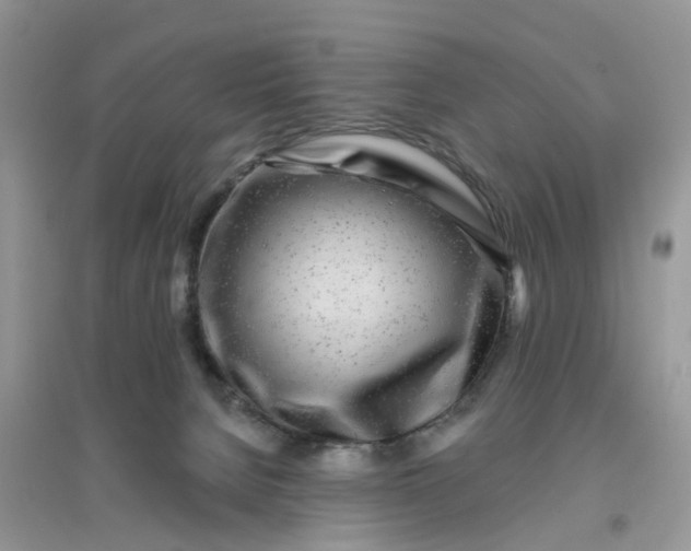 X0000096170080200802011329