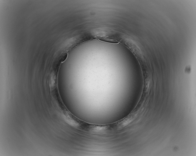 X0000096170081200802011329