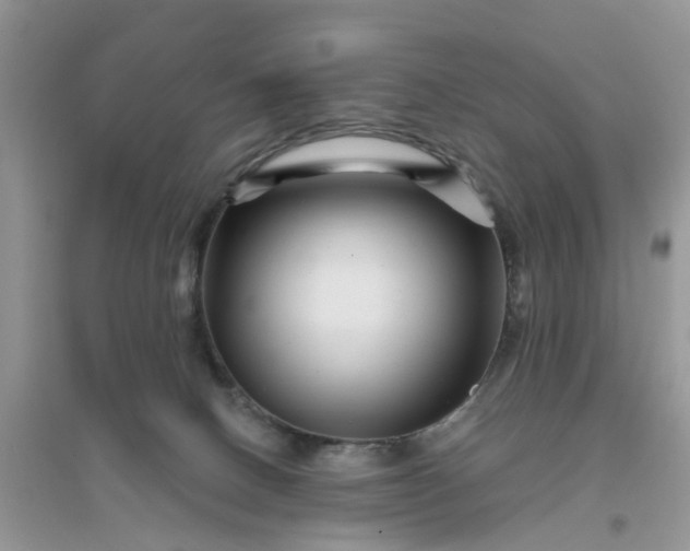 X0000096170082200802011329