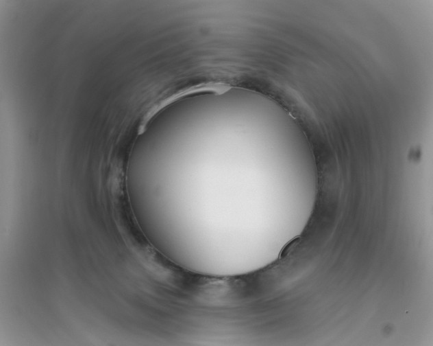 X0000096170083200802011329