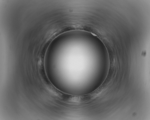 X0000096170084200802011329