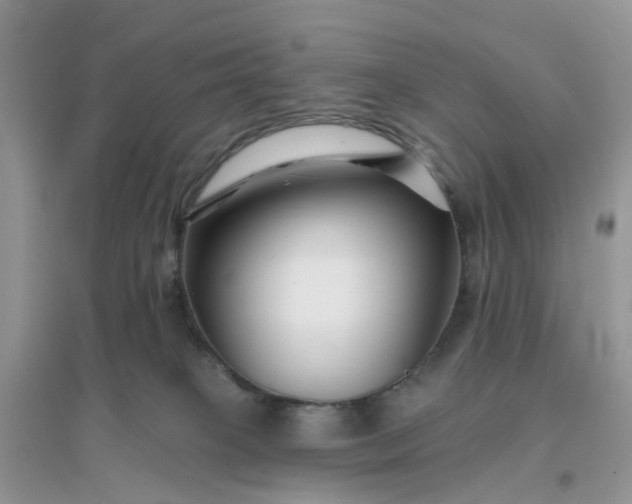 X0000096170085200802011329