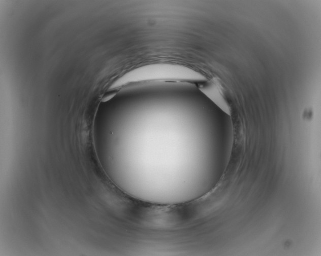 X0000096170086200802011329