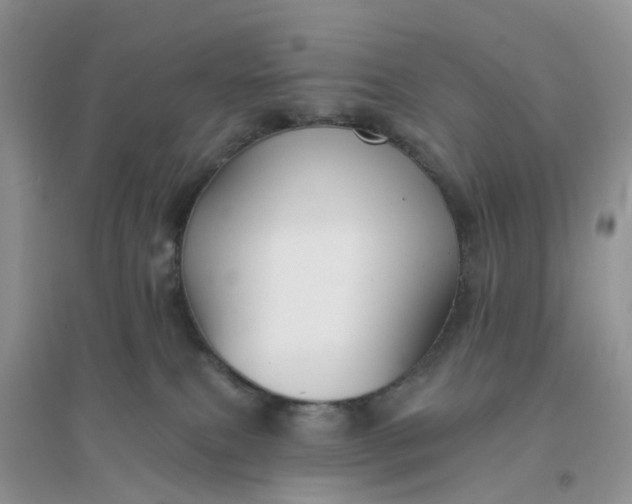 X0000096170087200802011329