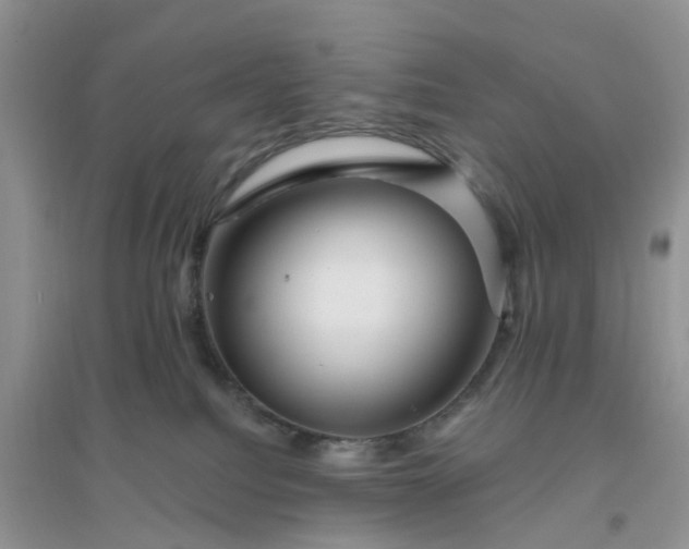 X0000096170088200802011329