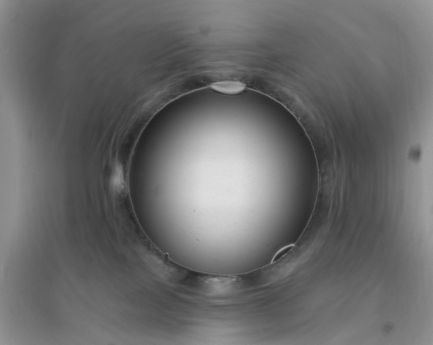 X0000096170089200802011329