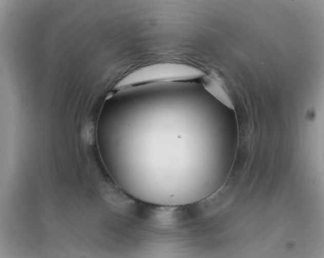 X0000096170090200802011329