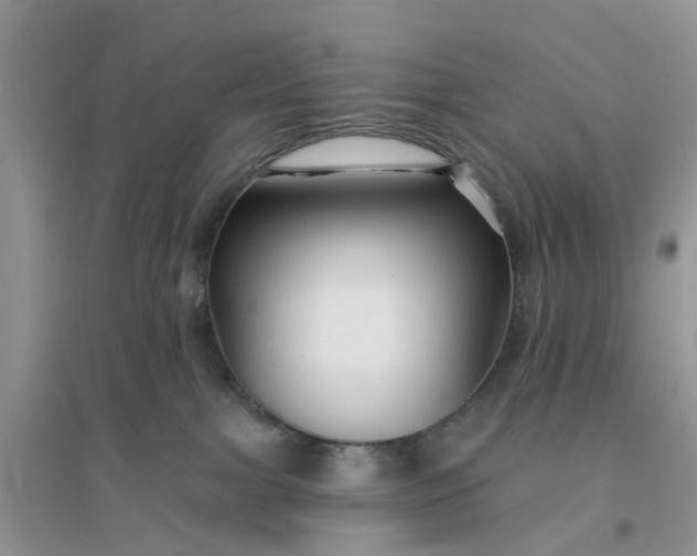 X0000096170091200802011329